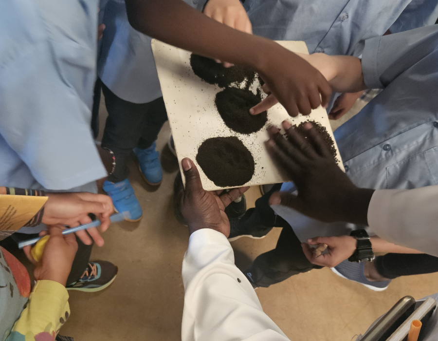 Welcome to Riara Tea Tours & Travel - Where Every Journey Begins with a Sip.